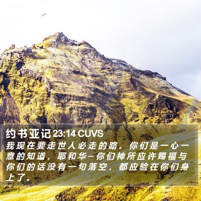 约 书 亚 记 23:14 CUVS Bible Verse Image