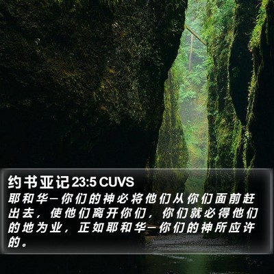 约 书 亚 记 23:5 CUVS Bible Verse Image