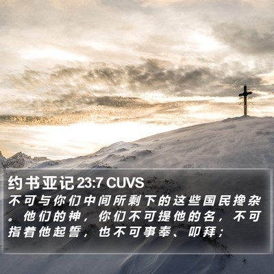 约 书 亚 记 23:7 CUVS Bible Verse Image