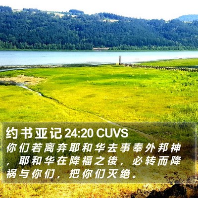 约 书 亚 记 24:20 CUVS Bible Verse Image