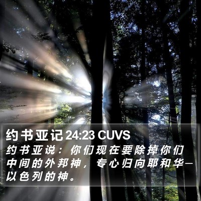 约 书 亚 记 24:23 CUVS Bible Verse Image