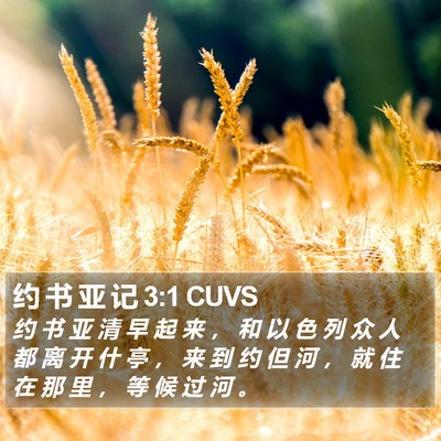 约 书 亚 记 3:1 CUVS Bible Verse Image