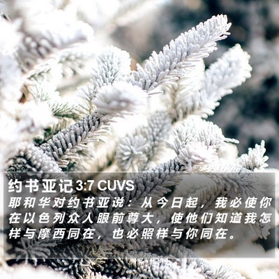 约 书 亚 记 3:7 CUVS Bible Verse Image