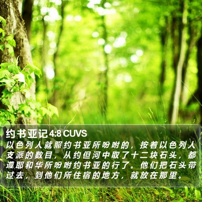 约 书 亚 记 4:8 CUVS Bible Verse Image