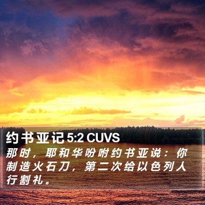 约 书 亚 记 5:2 CUVS Bible Verse Image