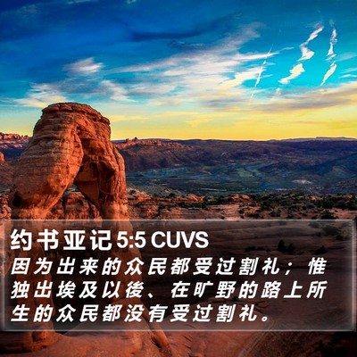 约 书 亚 记 5:5 CUVS Bible Verse Image