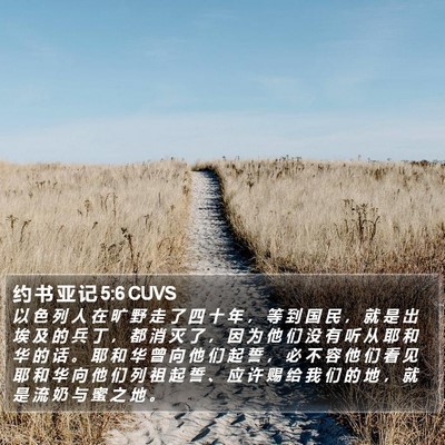 约 书 亚 记 5:6 CUVS Bible Verse Image
