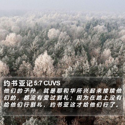 约 书 亚 记 5:7 CUVS Bible Verse Image