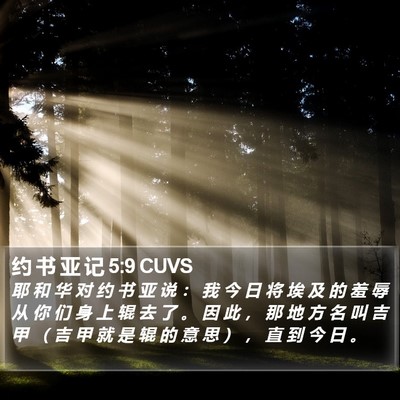 约 书 亚 记 5:9 CUVS Bible Verse Image