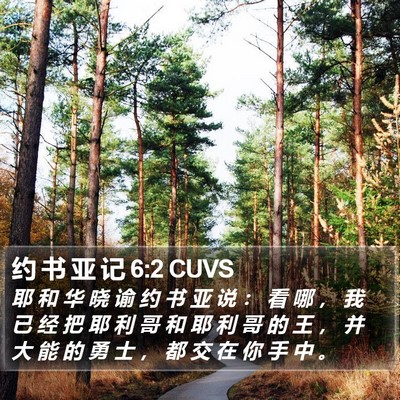 约 书 亚 记 6:2 CUVS Bible Verse Image