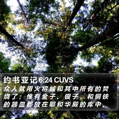 约 书 亚 记 6:24 CUVS Bible Verse Image