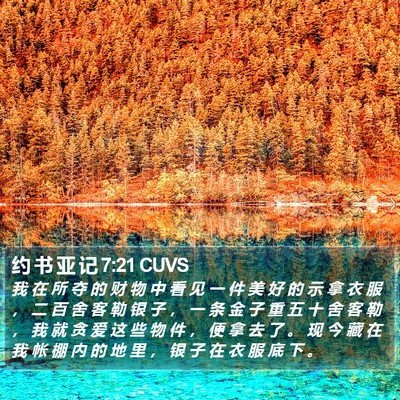 约 书 亚 记 7:21 CUVS Bible Verse Image