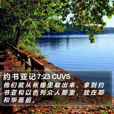 约 书 亚 记 7:23 CUVS Bible Verse Image