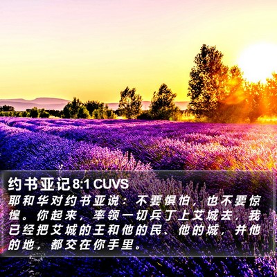约 书 亚 记 8:1 CUVS Bible Verse Image