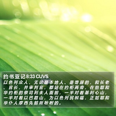 约 书 亚 记 8:33 CUVS Bible Verse Image