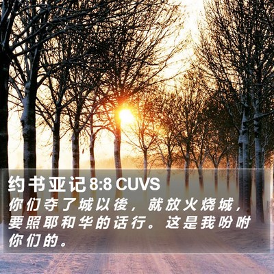 约 书 亚 记 8:8 CUVS Bible Verse Image