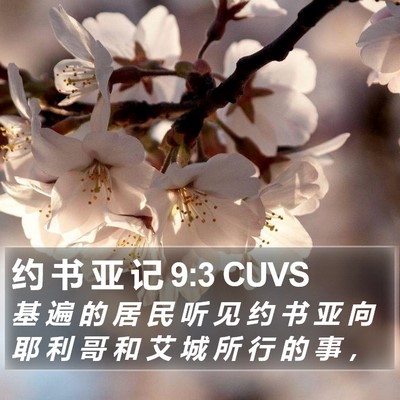 约 书 亚 记 9:3 CUVS Bible Verse Image