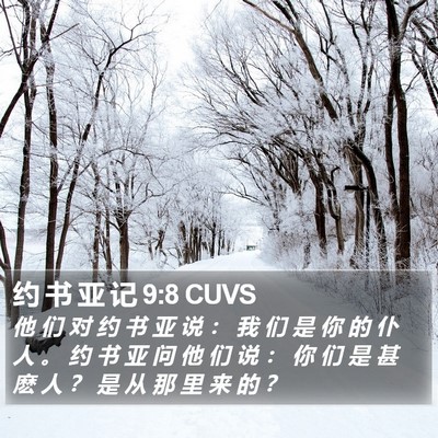 约 书 亚 记 9:8 CUVS Bible Verse Image