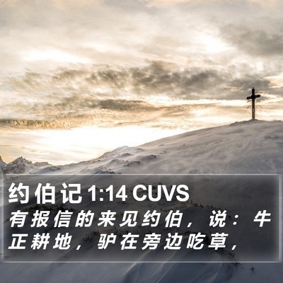 约 伯 记 1:14 CUVS Bible Verse Image