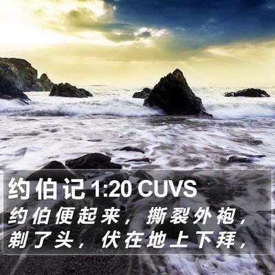 约 伯 记 1:20 CUVS Bible Verse Image