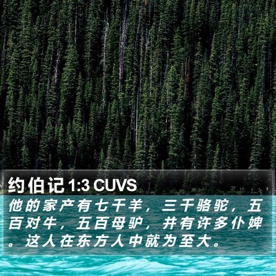 约 伯 记 1:3 CUVS Bible Verse Image
