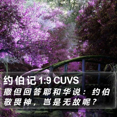 约 伯 记 1:9 CUVS Bible Verse Image
