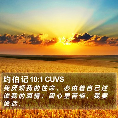 约 伯 记 10:1 CUVS Bible Verse Image