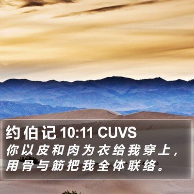 约 伯 记 10:11 CUVS Bible Verse Image