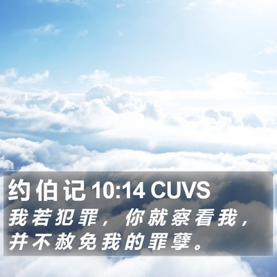 约 伯 记 10:14 CUVS Bible Verse Image