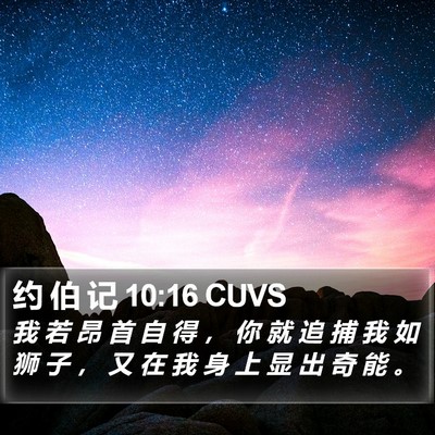约 伯 记 10:16 CUVS Bible Verse Image