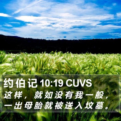 约 伯 记 10:19 CUVS Bible Verse Image