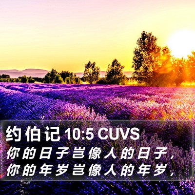 约 伯 记 10:5 CUVS Bible Verse Image