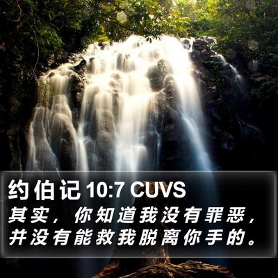 约 伯 记 10:7 CUVS Bible Verse Image