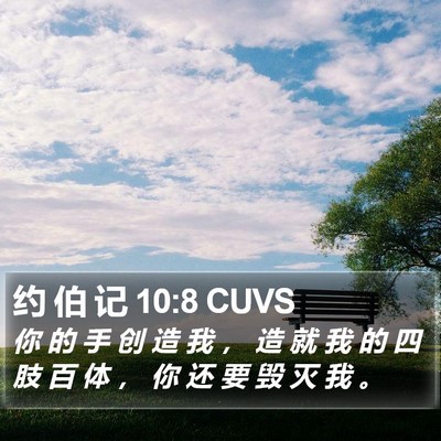 约 伯 记 10:8 CUVS Bible Verse Image