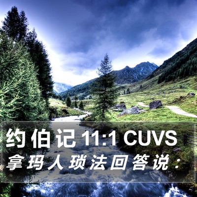 约 伯 记 11:1 CUVS Bible Verse Image