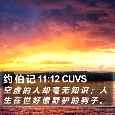 约 伯 记 11:12 CUVS Bible Verse Image