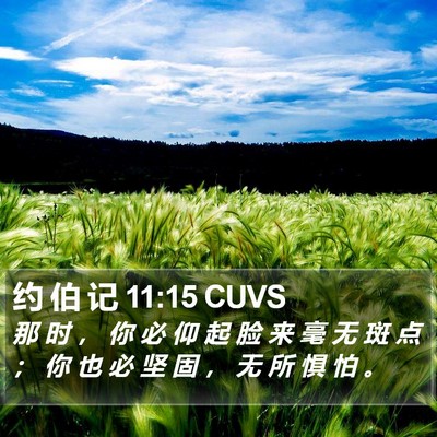 约 伯 记 11:15 CUVS Bible Verse Image