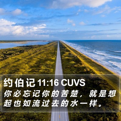 约 伯 记 11:16 CUVS Bible Verse Image