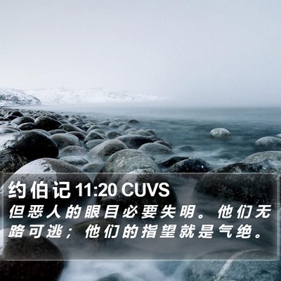 约 伯 记 11:20 CUVS Bible Verse Image