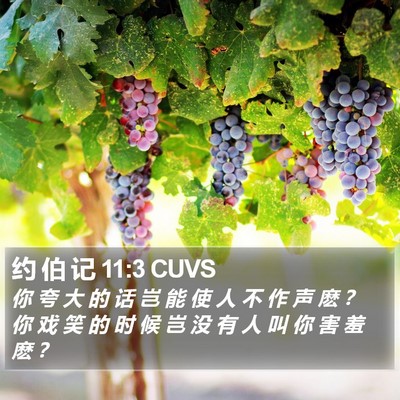 约 伯 记 11:3 CUVS Bible Verse Image