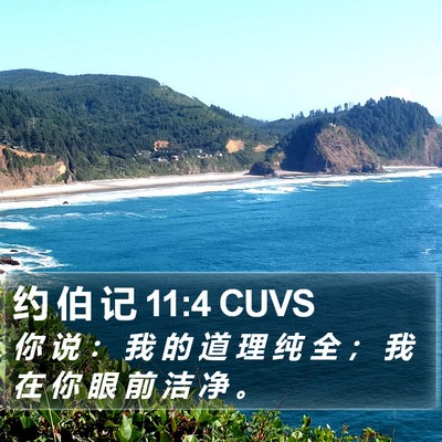 约 伯 记 11:4 CUVS Bible Verse Image