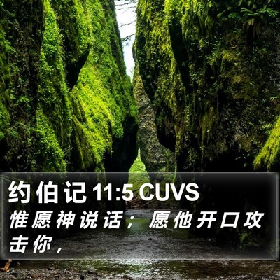 约 伯 记 11:5 CUVS Bible Verse Image