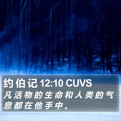 约 伯 记 12:10 CUVS Bible Verse Image