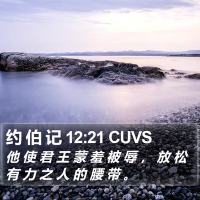 约 伯 记 12:21 CUVS Bible Verse Image