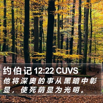 约 伯 记 12:22 CUVS Bible Verse Image