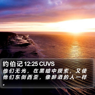 约 伯 记 12:25 CUVS Bible Verse Image