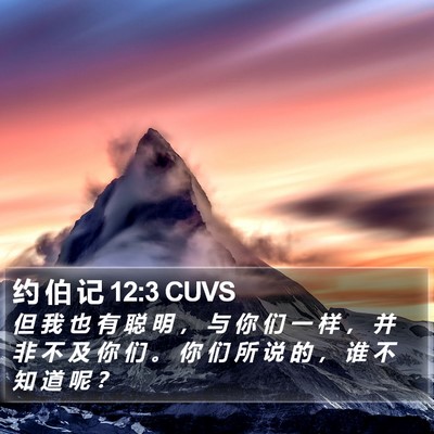 约 伯 记 12:3 CUVS Bible Verse Image