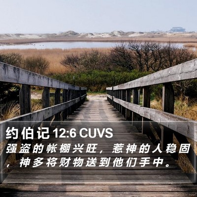 约 伯 记 12:6 CUVS Bible Verse Image
