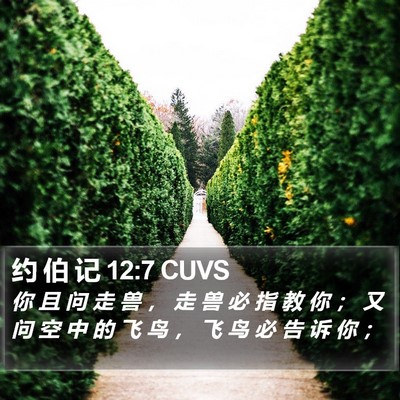 约 伯 记 12:7 CUVS Bible Verse Image