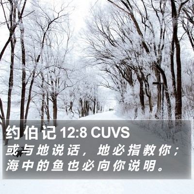 约 伯 记 12:8 CUVS Bible Verse Image